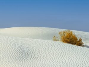 White-Sands-Personified thumbnail