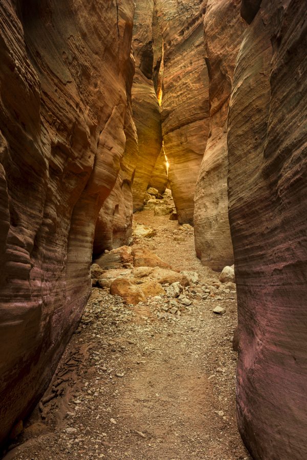 20221008-_C5A0754-Edit-Recovered-rkm5fhxjd7dmlqlnmrikzqyrgx7xpss6g5u3j12p7s